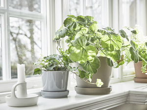 Prop, Swap & Decorate