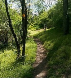 Get Out! For Wellness: Sawmill Run Trail Hike! with Wildlands Conservancy