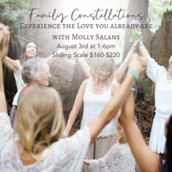 An Afternoon of Family Constellations: Experience the Love You Already Are