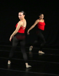 Portraits of Dance