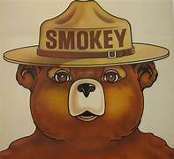 Smokey the Bear's Birthday Party