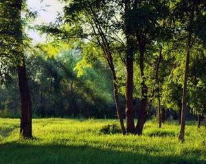 Cincinnati Nature Center Field Trip