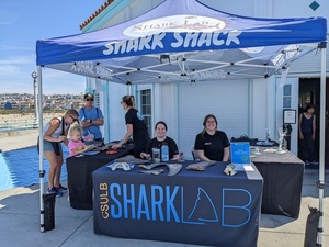 Shark Shack