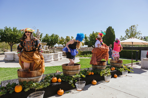 Grape Stomp