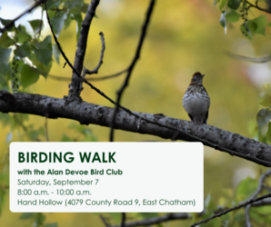 Birding walk with Alan Devoe Bird Club