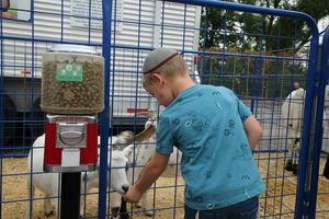 St. Charles Jewish Festival