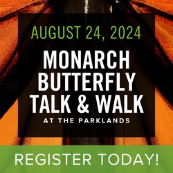 Monarch Butterfly Walk and Talk at The Parklands of Floyds Fork