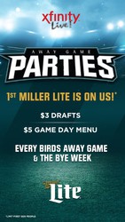 Birds Away Game Party