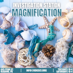 Investigation Station - Magnification: At the Beach