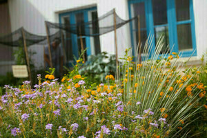 Gardens of Canoa Ranch