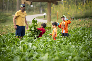 Field Fest at the Arb