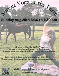 Sunset Yoga at the Farm