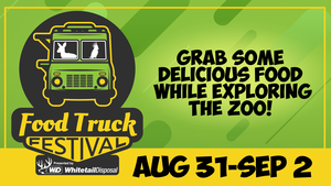 Food Truck Festival
