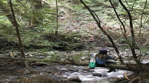 Nature-Based Mindfulness Mini-Retreat