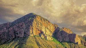 The Magnificent Catalinas