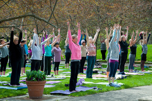Yoga in the Garden