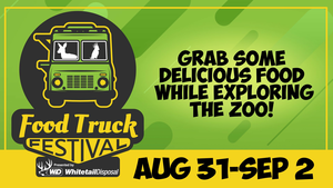 Food Truck Festival