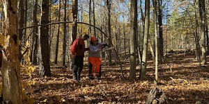 Women's Game of Logging Level 1