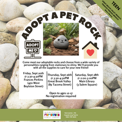 Adopt a Pet Rock