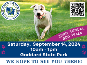 Paws in the Park