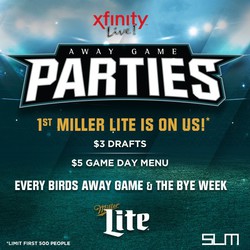 Birds Away Game Party