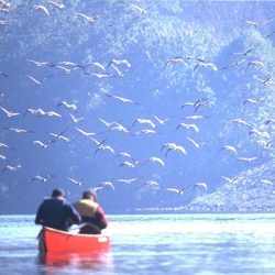 Wildlands Conservancy – Get Out! For Wellness: Canoe Mauch Chunk Lake