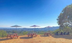 Jenny O’Leary Jazz Quartet at Bottle Jack Winery