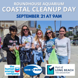 Coastal Cleanup Day 2024