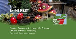 Mini Mini Fest Naperville