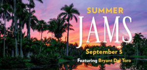 Sunset Summer Jams feat: Bryant Del Toro