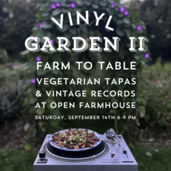 Vinyl Garden II Tapas and Jazz Records