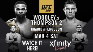 UFC 209