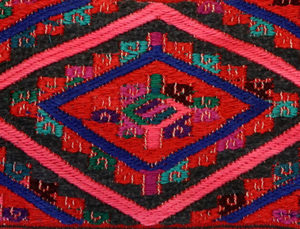 The Language of Textiles: Mid-century Oaxacan Embroidery and Weaving