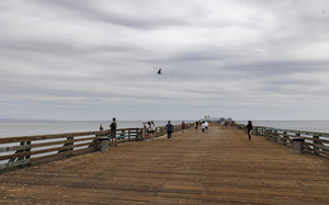 Capitola Wharf grand reopening