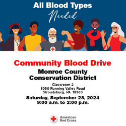 Red Cross Blood Drive