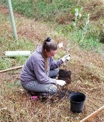 Volunteers Needed! - Tree Planting on Mill Creek Road