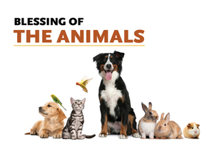 Blessing of the Animals