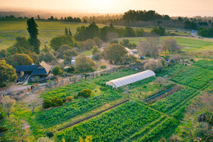 UCSC Free Guided Farm Tour