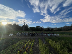 Santa Cruz Permaculture Harvest Dinner