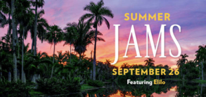 Sunset Summer Jams at Fairfaild