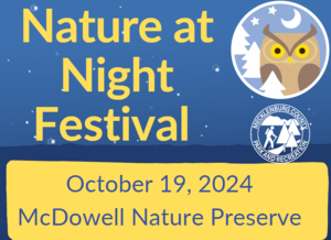 Nature at Night Festival