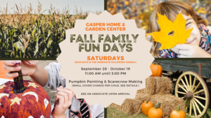 Fall Family Fun Days