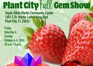 H & R Gem Shows Plant City Jewelry Gem and Mineral Show and Sale
