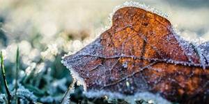 Putting the Garden to Bed: How to Prepare for Winter