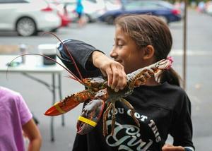 Lobster Fest Cary