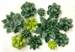 Freeze & Fuse Experience