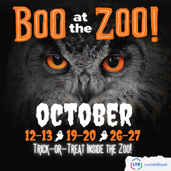 Boo at the Zoo