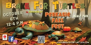 Brake For Turtles LIVE at Perkasie Fall Fest