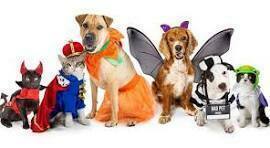 Howl-O-Ween Party