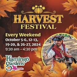 Flamingo Gardens' Harvest Festival